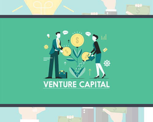 venture capitalist