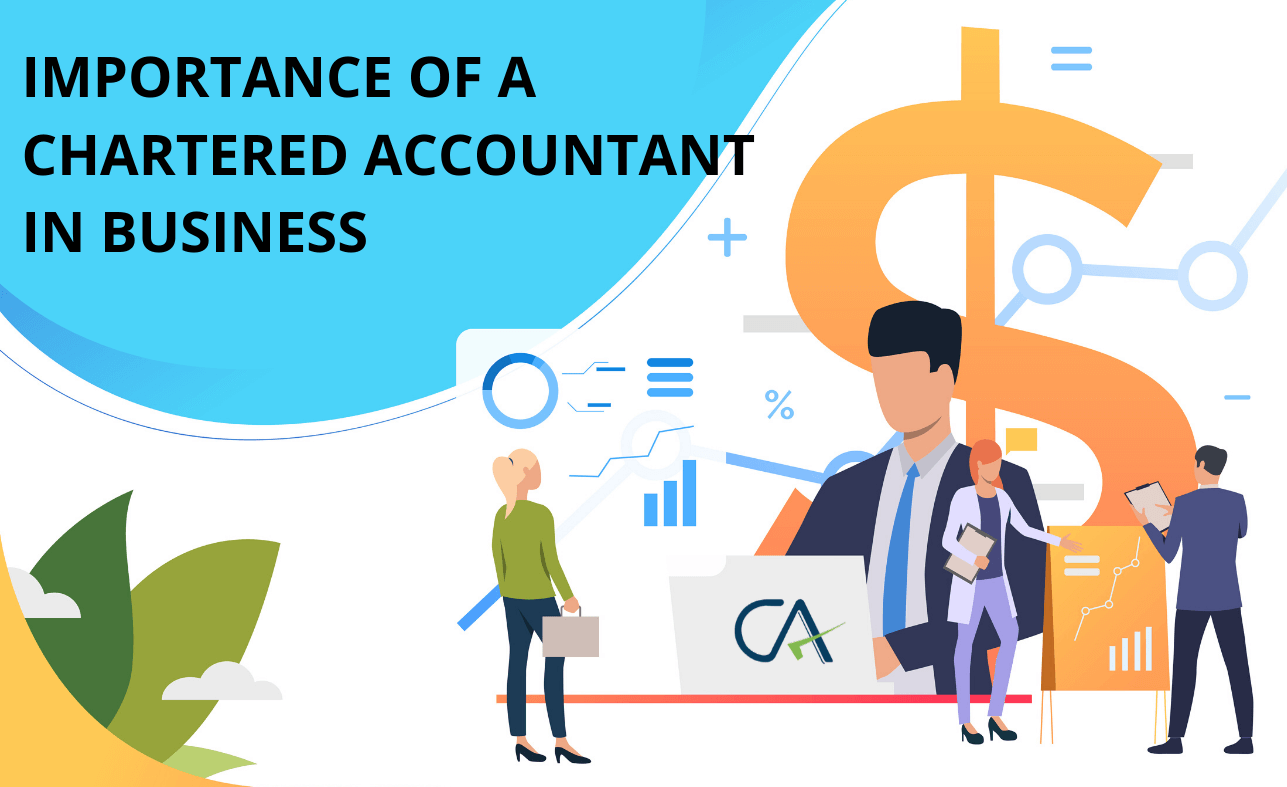 The Importance Of Chartered Accountants For Business