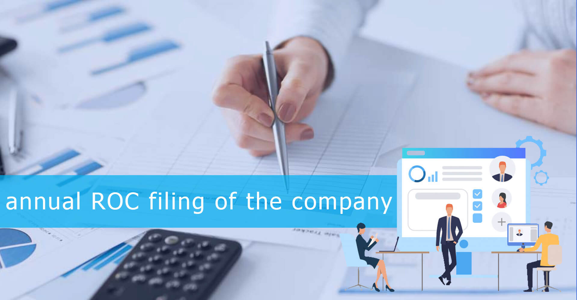 Annual ROC Filing for Company