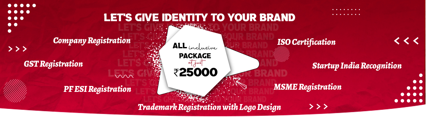 Startup Consultant in India