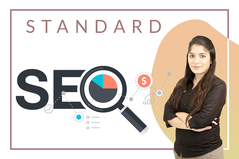 Search Engine Optimisation services Lucknow